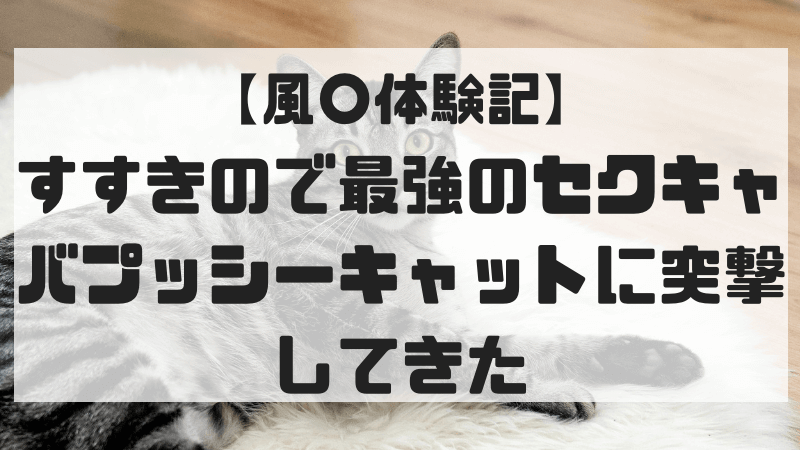 すすきので伝説のお店「プッシーキャット」に潜入調査 - YouTube