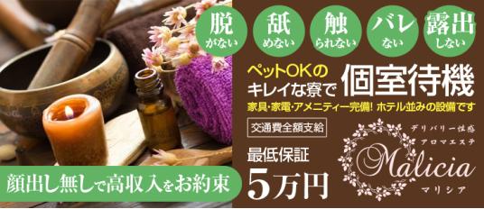 最新版】東広島(西条)の東広島で風俗遊び、一体どんなお店があるの？ | 風俗特報