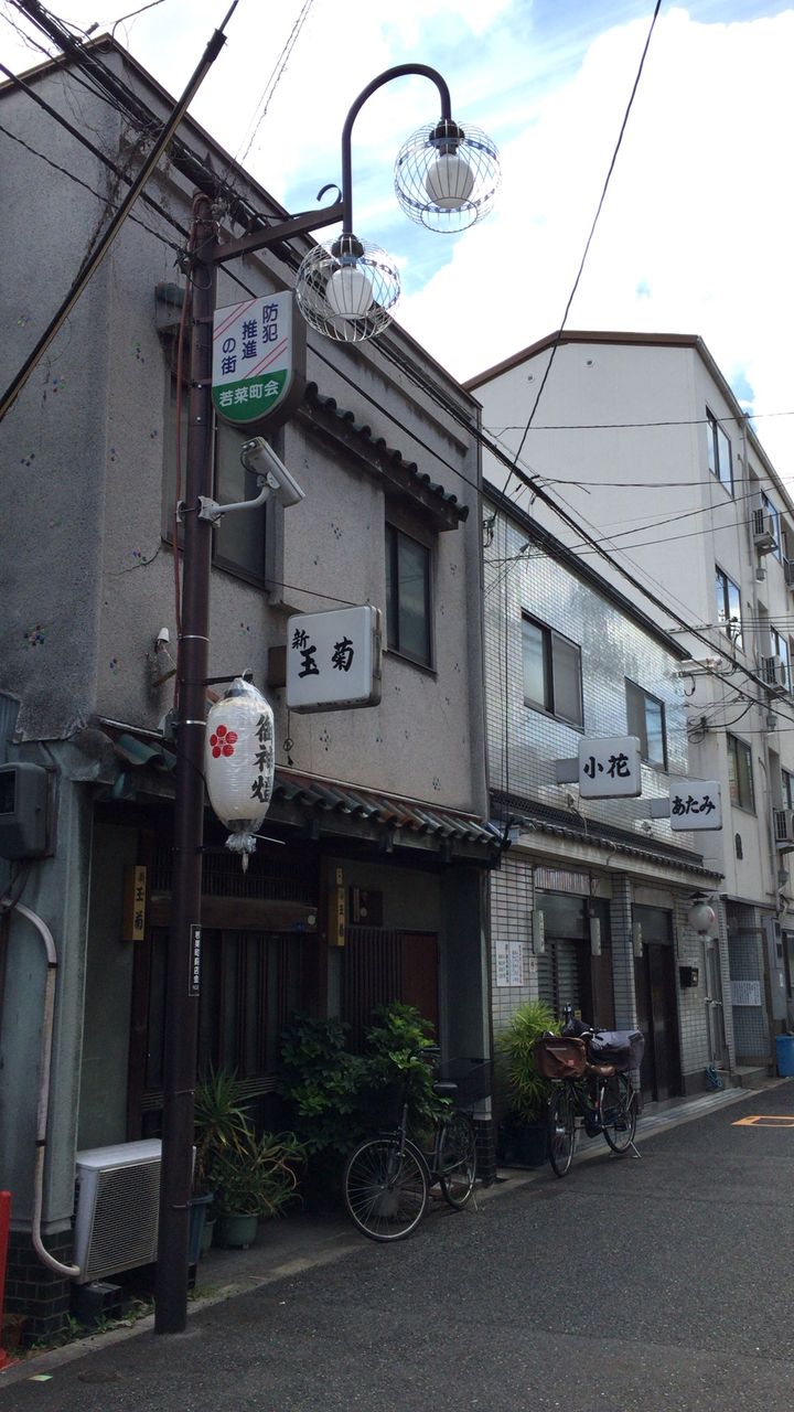 青春通り、飛田会館の桜🌸🍒さくらんぼの木なので咲くのが早いんやって。金魚姫の真ん前😊 #飛田新地 #今池駅 #新今宮駅 #動物園前駅