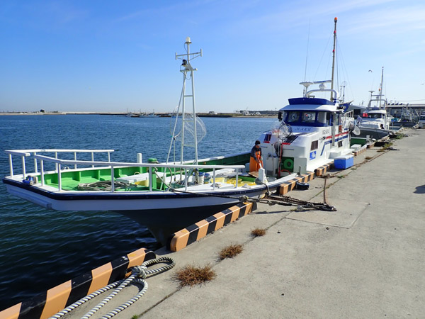 2024/07/30 きくしん丸（きくしんまる）の釣果です[宮城荒浜漁港] 釣りTiki東北 釣果速報