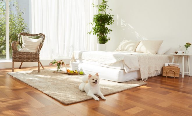 ナチュラルインテリアはダサい？失敗例とおしゃれな実例解説