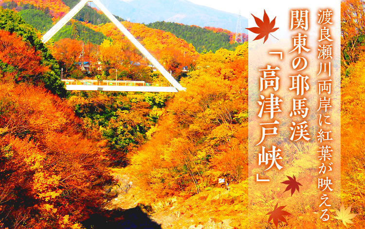 当時もの】中山秀征・井森美幸 群馬県観光協会「ぐぐっと群馬」B1特大サイズポスター 