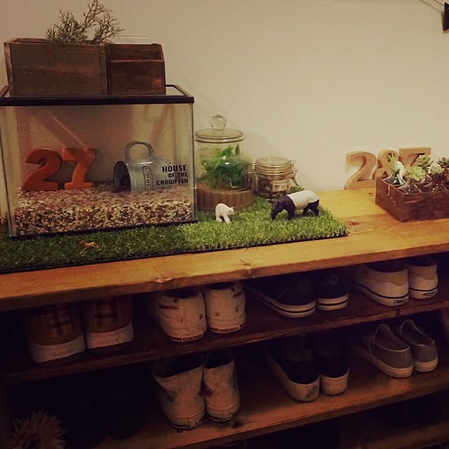 水槽の置き場所は？自作水槽台から、玄関の思い出までアクアライフブログ