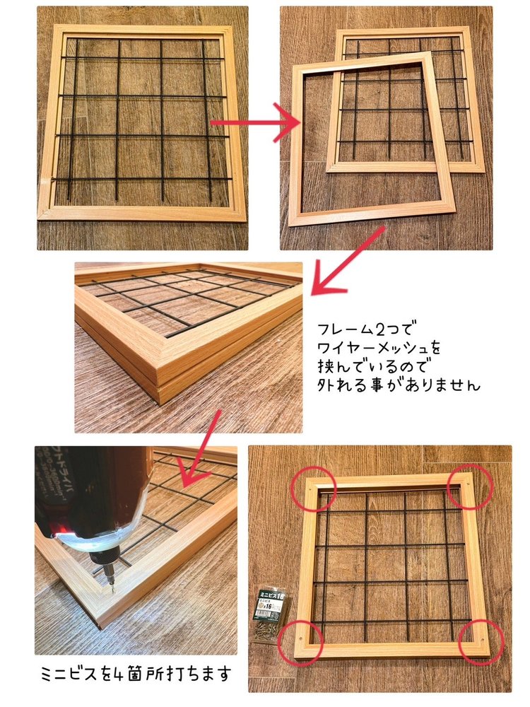 お部屋の壁に緑を！DIYでできる簡単なウォールグリーンの作り方SombraVerde