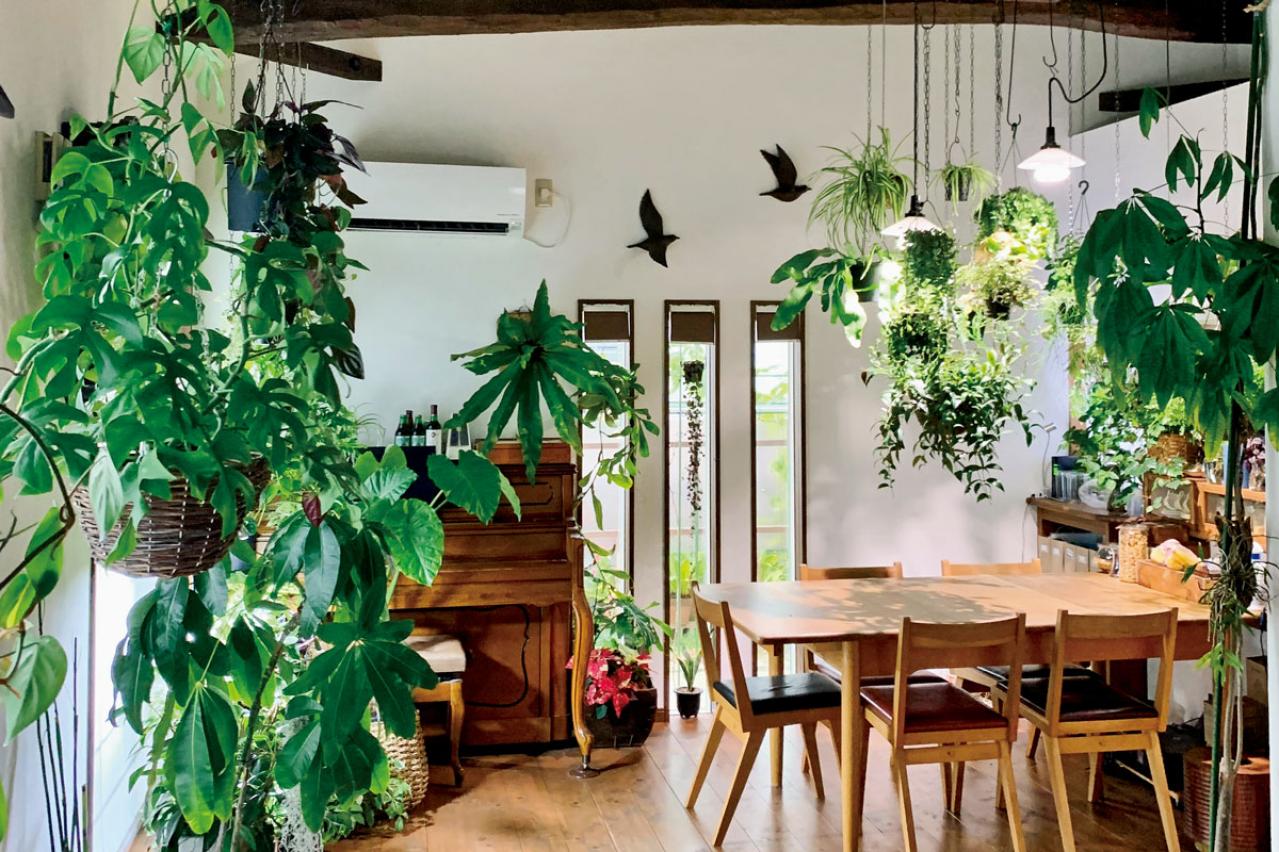 インテリアになる観葉植物の飾り方とセンスよく見せるコツ