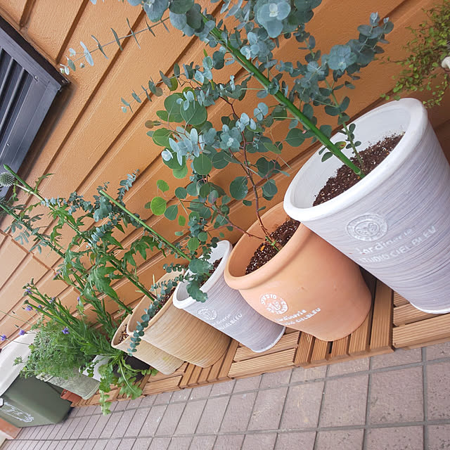 庭にウッドデッキがあればガーデニングはもっと楽しい！ RESTA DIY教室