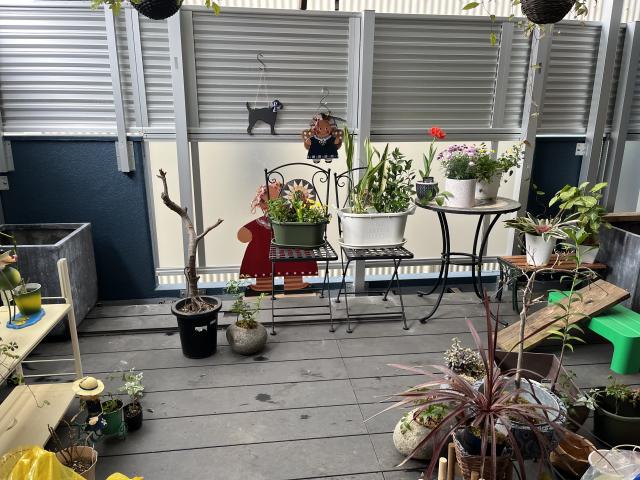 case:49 室内からの景色になるベランダグリーン 観葉植物・レンタル個人住宅向け観葉植物レンタルLOVE GREEN -ラブグリーン