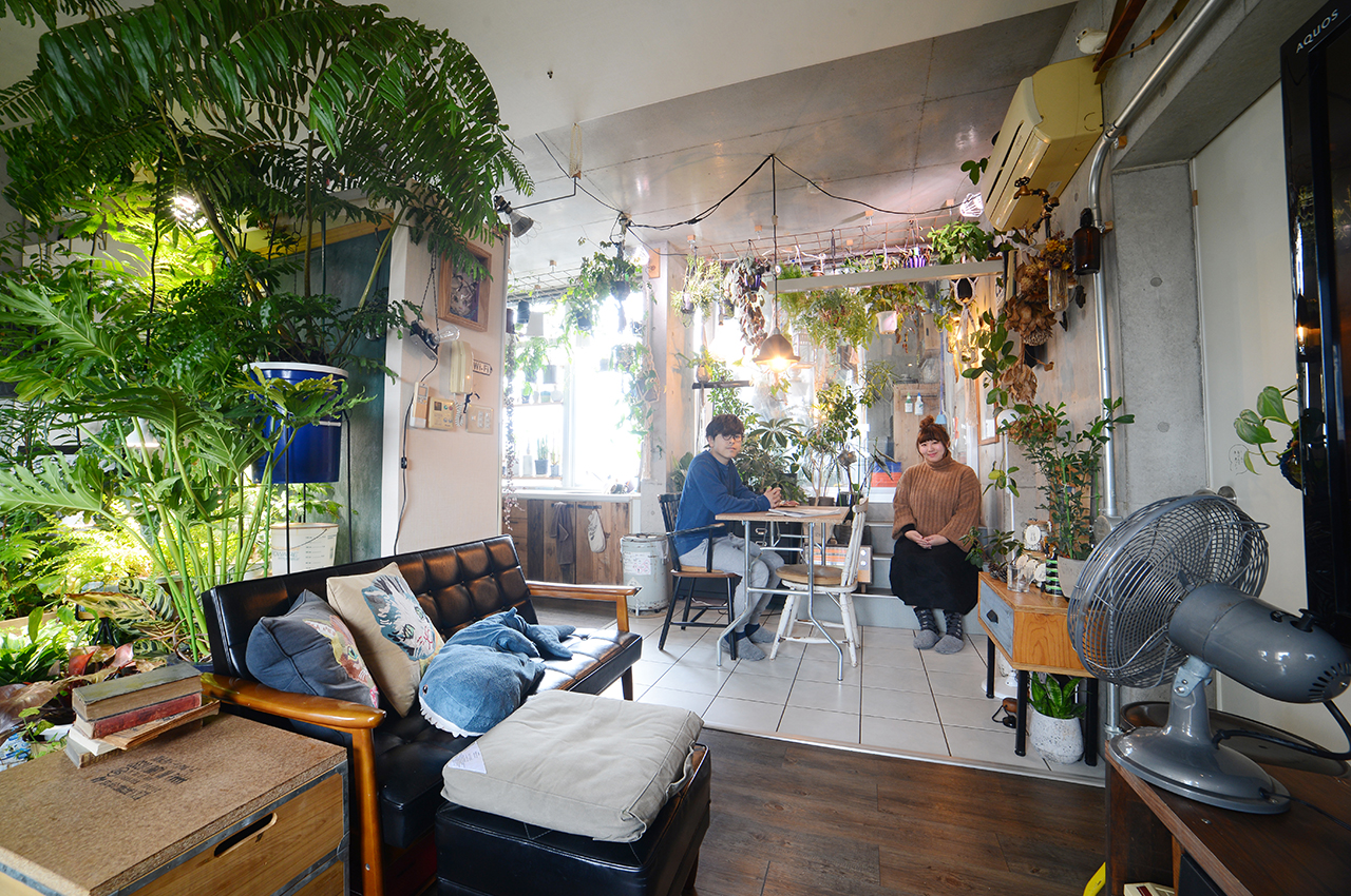 ボタニカルインテリアにおすすめのコーディネート実例輸入雑貨の通販ハルモニア web store