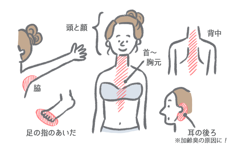 昔の人はどうしていた？日本の洗濯事情の変化 | こころあらうキレイのおてつだい 宅配クリーニングのココアラ[cocoara]