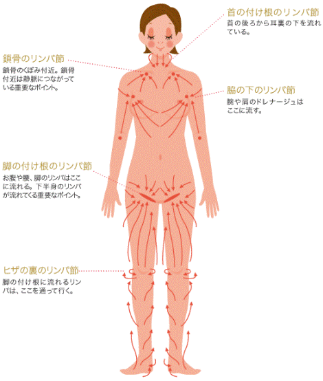 ６部位を効果的に狙う、リンパマッサージのやり方【まとめ】 | 美的.com