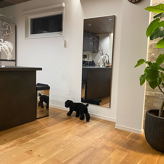 玄関の鏡の取り付け方│風水で運気アップ！ 正しい置き場所やよくない位置、おしゃれな壁掛け・全身鏡をセレクトHugKum はぐくむ