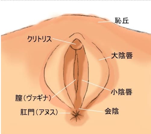 男がクンニしたいと思う理由とは？ まんこを舐めたい時・舐めたくない時の本音 | オトナのハウコレ