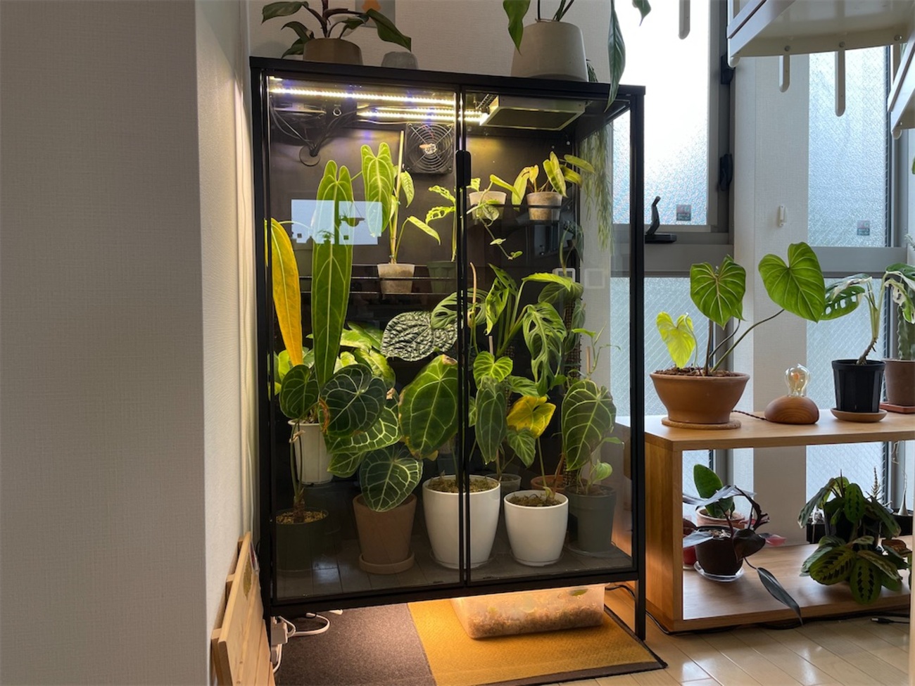 IKEA 無骨な収納キャビネットを組み立て&レビュー家具 購入品