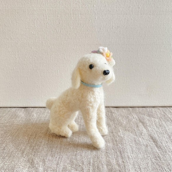 スターターセット付き トイプードル 手作りキット アプリコットカラー 羊毛フェルト 犬幸せデリバリー ギフト・結婚式アイテム・手芸用品の通販