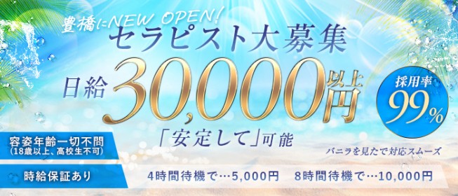 本番/NN/NSも？豊橋にソープはなし！激エロ風俗2店を全66店舗から厳選！【2024年】 | Trip-Partner[トリップパートナー]