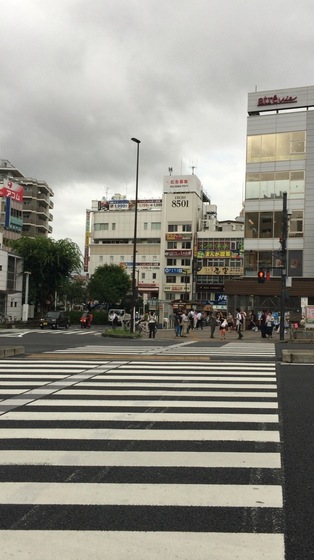 花椿(ハナツバキ) 札幌市すすきの ラウンジ