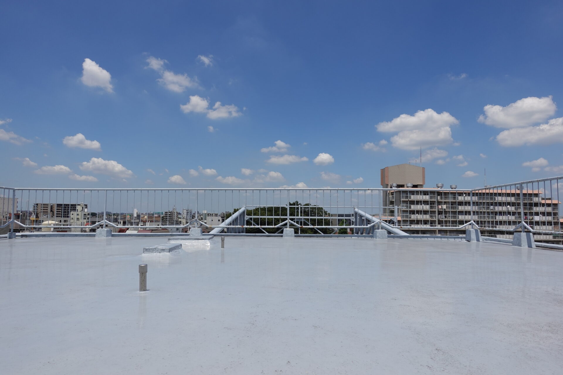 スキットルーフ W新商品情報商品案内杉田エース株式会社