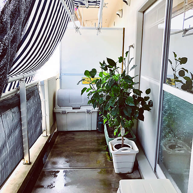 ベランダ収納を活用するためのアイデアTips to organize your life