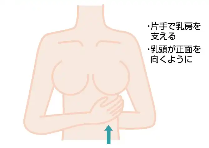 いつのまにか乳首は黒ずんでいく！あの頃のピンク乳首に戻す方法は？ | ママテナ