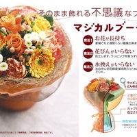 京都・宇治 式部郷｜せんべい・あられ・おかき・和菓子の通信販売