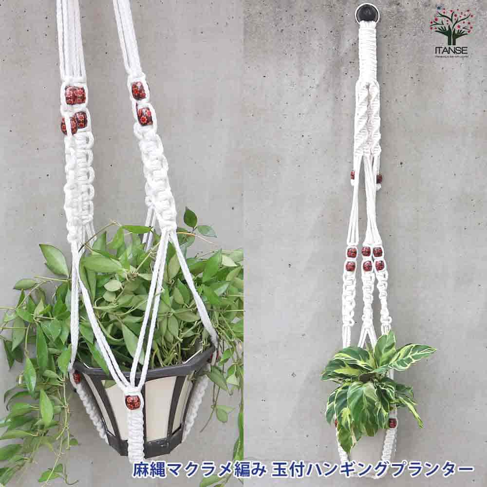 黒 季節の観葉植物と3色から選べるマクラメハンギングプランタ―のセット_M005-006_bk - 宮崎県宮崎市ふるさとチョイス -ふるさと納税サイト