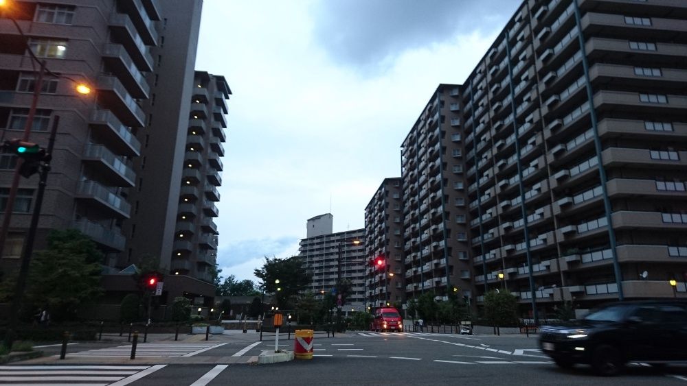 大人の遠足 其の一 飛田新地「鯛よし百番」へ｜natto-yone146