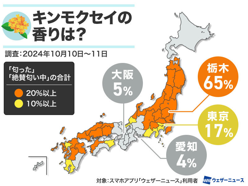 東大阪】静かで落ち着いた癒しの古民家で苔テラリウム作りをしませんか。/金木犀 - じゃらん遊び体験