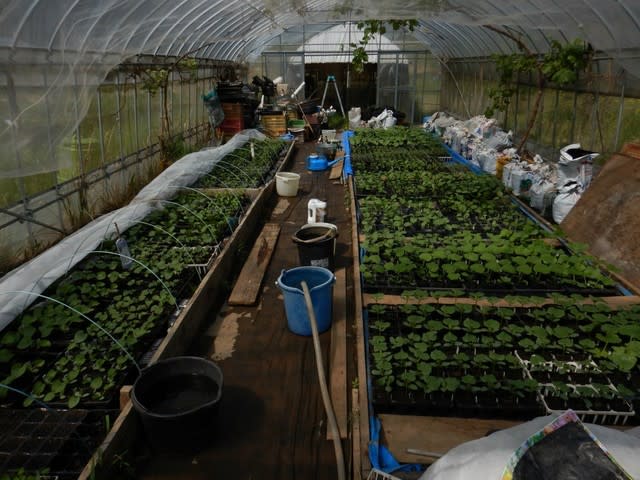 減速生活の雑記帳」 環境再生型農園ソルズファームの挑戦 : 自作の育苗ハウス その２