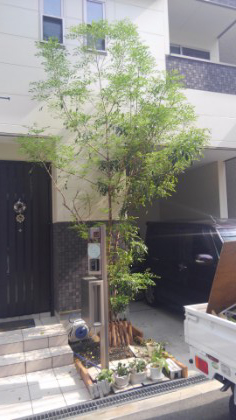 花壇を撤去し使いやすい駐車スペースに！玄関前の外構リフォーム施工例をご紹介アイディアいっぱいお庭ブログ