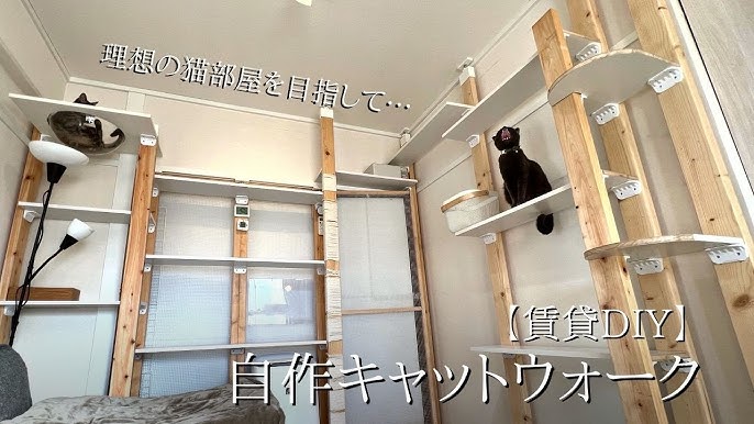 賃貸アパート キャットウォークDIYのインテリア・手作りの実例RoomClip ルームクリップ