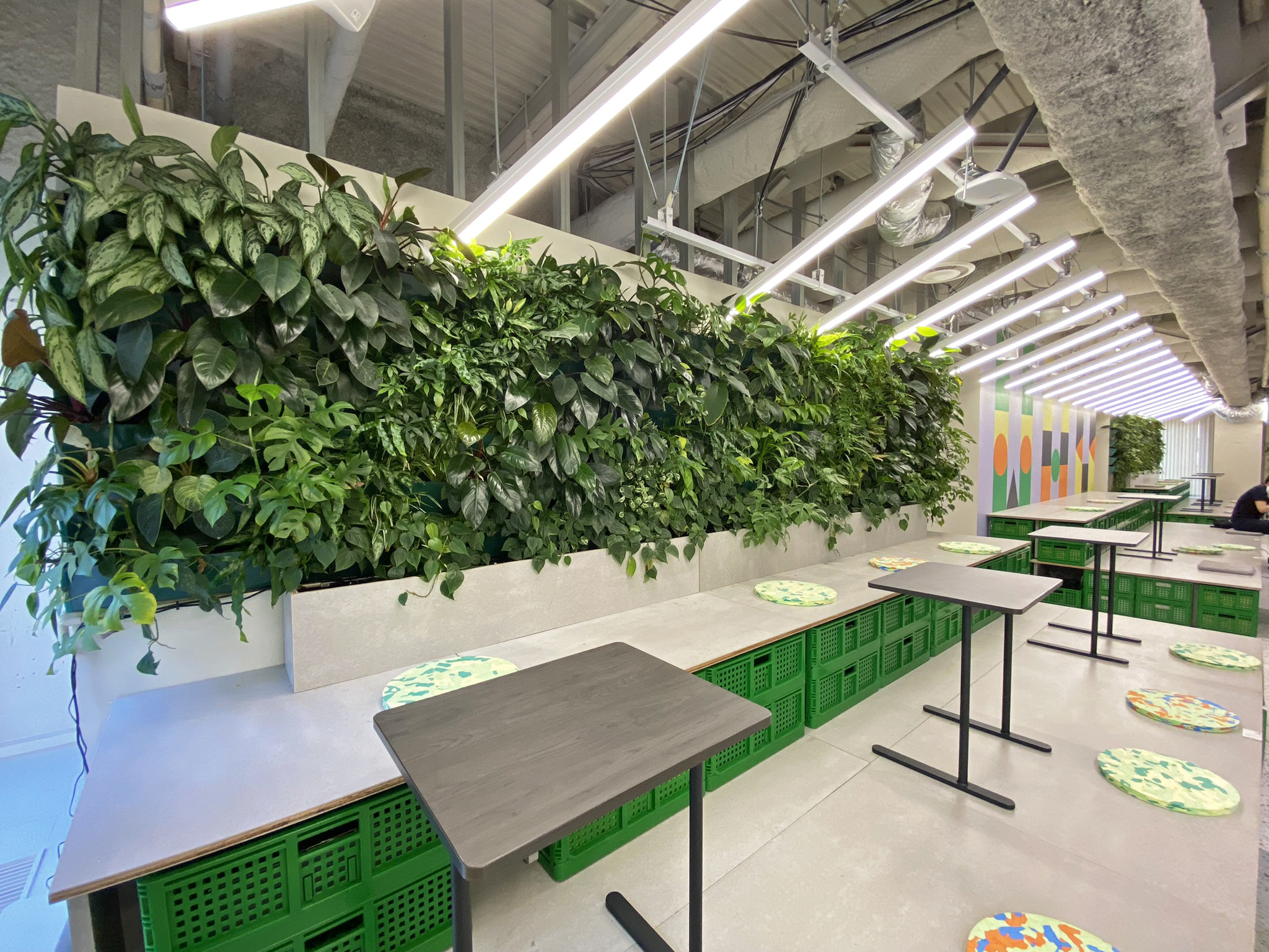 オフィス緑化サービス『COMORE BIZ』がパナソニック本社 総務部オフィスに導入株式会社パソナグループのプレスリリース