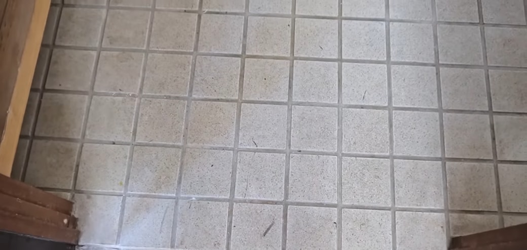 楽天市場 クレンザー タイルの通販