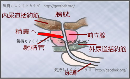 クリイキとは？普段のオーガズムで感じやすくする方法！ | ラブグッズ通販ならミライカラーズオンライン