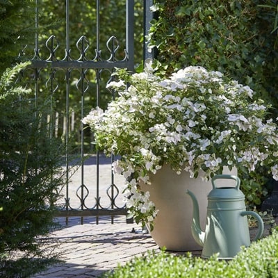 植木鉢 プランター 鉢 ポット スクエア 4号 おしゃれ 北欧 アンティーク 小さめ ガーデニング ガーデン インテリア 四角 角型 観葉植物 園芸室内 屋外 多肉 植物 玄関 鉢植え 庭 可愛い かわいい フラワーポット グリーンポット ミニ 小さい 小型 軽い 和風 花 水抜き穴付き