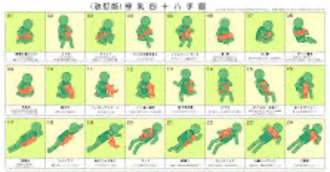 ヨガ初心者のための八支則『体位法』とは？わかりやすく解説 | ヨガはじめ