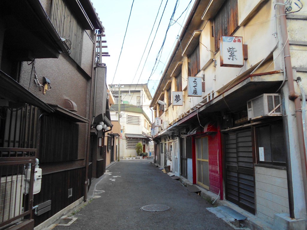 飛田新地と松島新地と信太山新地をハシゴしたので実況します - あでぃすでぃす