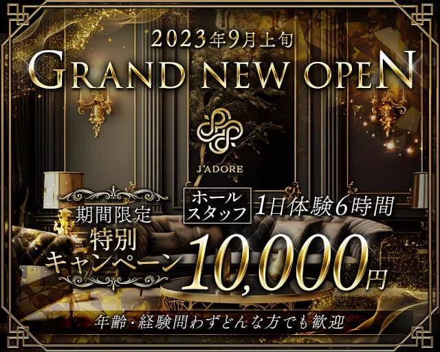 楽天市場】J'ADORE（ジャドール）木製つみき 150ピース トイザらス限定 : トイザらス・ベビーザらス