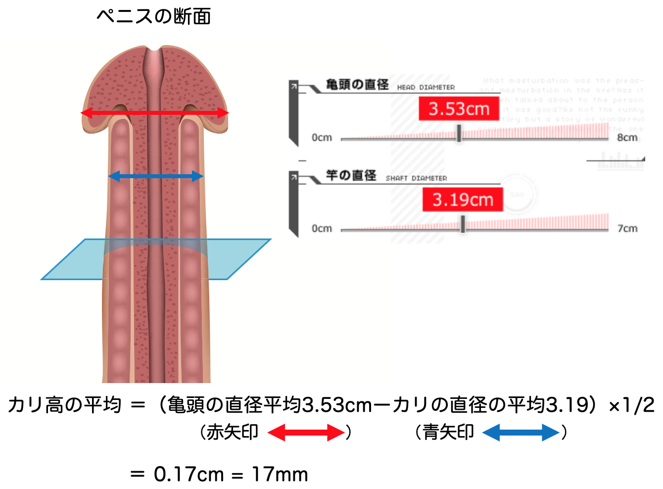 カリ高になる方法は？メリットなども併せて解説！【医師監修】 | メンズライフクリニック【公式】