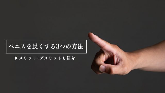 誰でも巨根になれるペニスサック「キングボーイ LLサイズ」 |