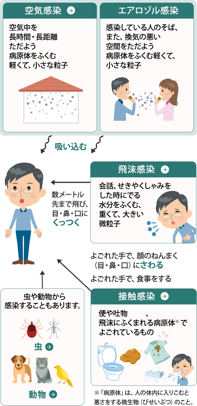 楽天市場】bois-s 【消臭洗濯サポートコース】あなたに合わせた消臭洗剤と効果の高い洗濯マニュアル付き ショップボイス 衣類用洗剤 消臭