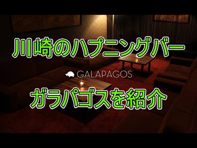 神奈川・横浜のハプニングバー11選！「ZONE」「ピュア横浜」などの口コミ・料金を解説 - 風俗本番指南書