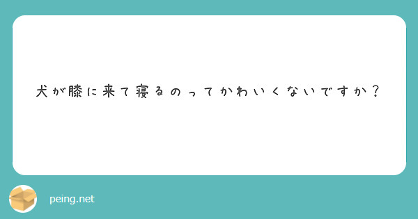 公式】渋谷高級デリヘル《青山ヴェルグ》現役モデルや芸能人と至極の瞬間