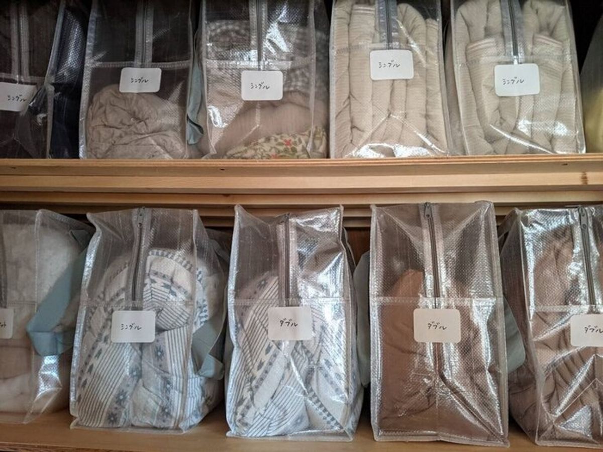 WEB限定セット クリアボックスバッグL2個セット クリア収納シリーズ3COINS スリーコインズ ライフスタイルPALCLOSET パルクローゼット- パルグループ公式ファッション通販サイト