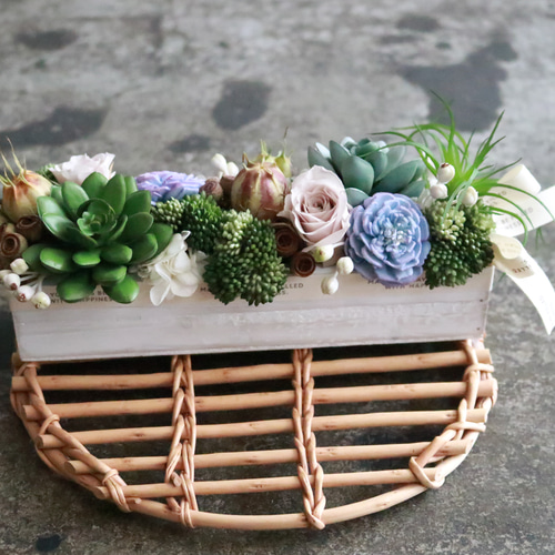 多肉ディスプレイ」のアイデア 130 件多肉, 多肉植物, ガーデニング