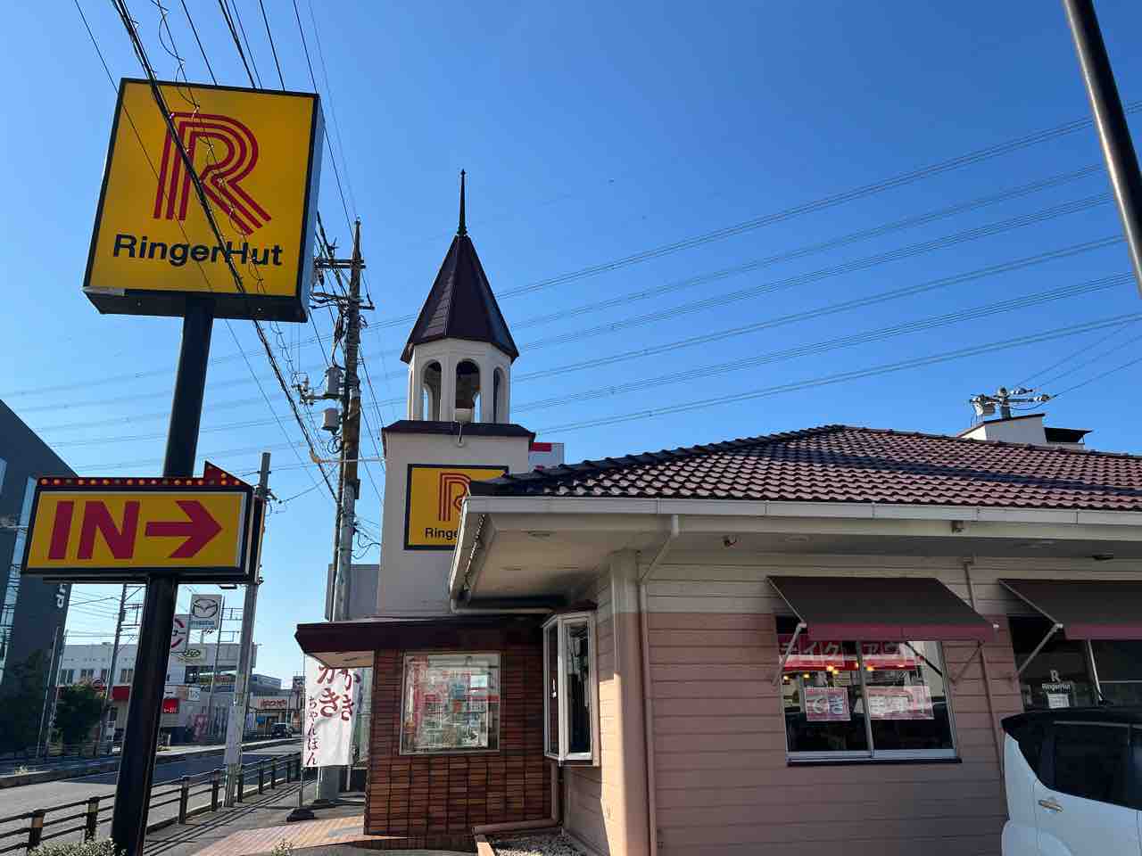 クリームマッカレルタビーの事情 | 一日一猫