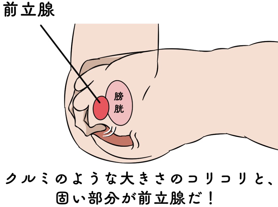 動画ですごい量のトコロテンしてますが、なんでそんなにトロコロテンできるのですか？コツとかあるのですか？何か薬とか | Peing -質問箱-