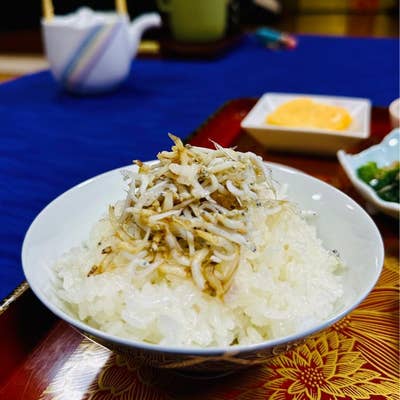 旅館 鷹島センター 宿泊予約【楽天トラベル】