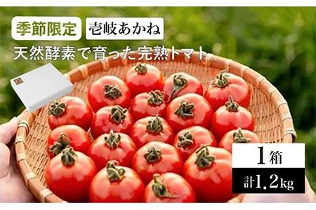 神戸居留地 無塩トマト100% 185g 30缶セット