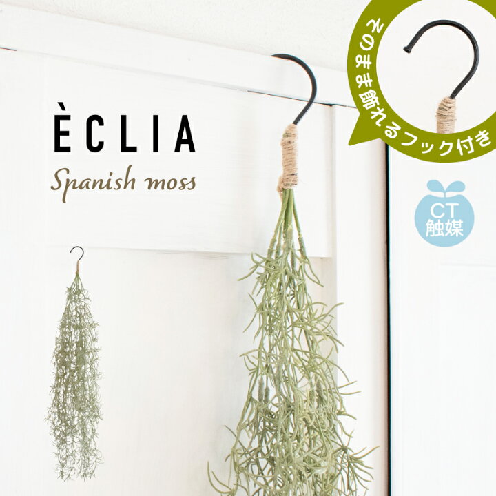 モスグリーンの壁紙が映えるナチュラルインテリアの家。滋賀県の住宅建築の実例：アイフルホーム大津店注文住宅のFCハウスメーカー アイフルホーム