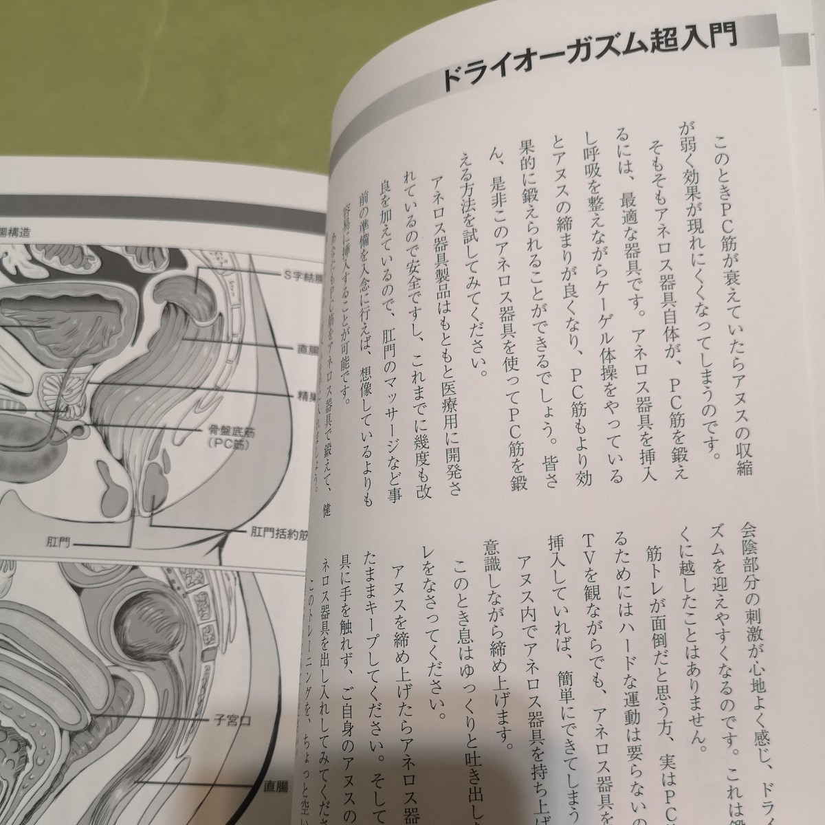 催眠音声】「無感情少女に催眠にかけられて… -催眠ドライオーガズム-」の肛門括約筋トレーニング編 丸ごと体験版【ドライオーガズム】 - YouTube